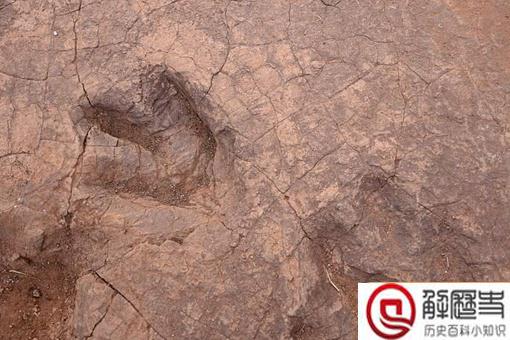 四川发现巨大恐龙足迹是怎么回事