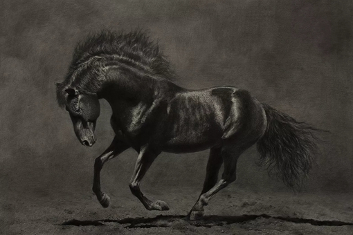 古代南方马为什么没北方马好?三国时期东吴的马都是从哪来的?