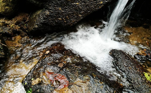 古时候故宫里的人为什么都不喝井里的水? 古时候故宫里的人为什么都不喝井里的水?