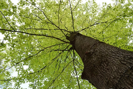 安徽省简称为什么叫皖?皖是什么意思?