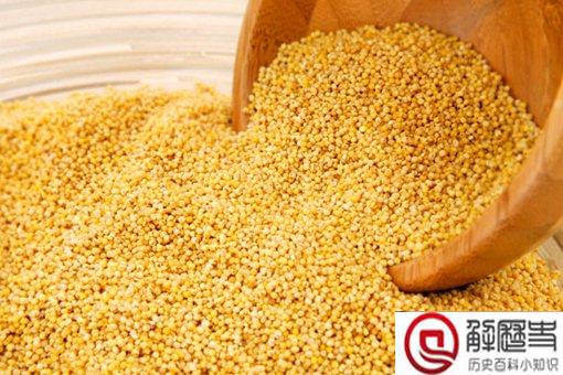 五谷丰登是哪五谷?五谷都有什么?