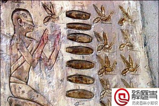 古代人的假牙使用什么做的?揭秘古代一些奇葩的事实 古代人的假牙使用什么做的?揭秘古代一些奇葩的事实