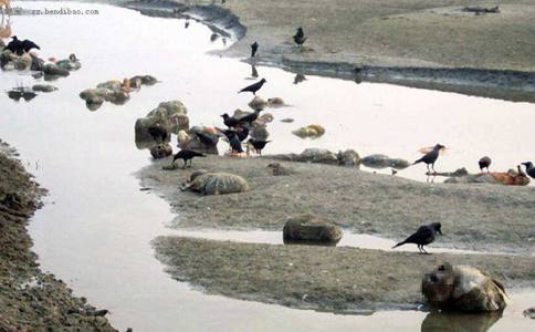 印度为什么会出现那么多恒河浮尸?