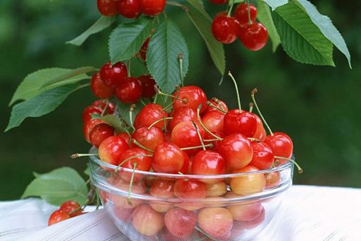 唐朝时期有什么吃的?如果吃货穿越回唐朝能吃到什么?