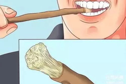 古代人怎么刷牙?古代牙刷长什么样?