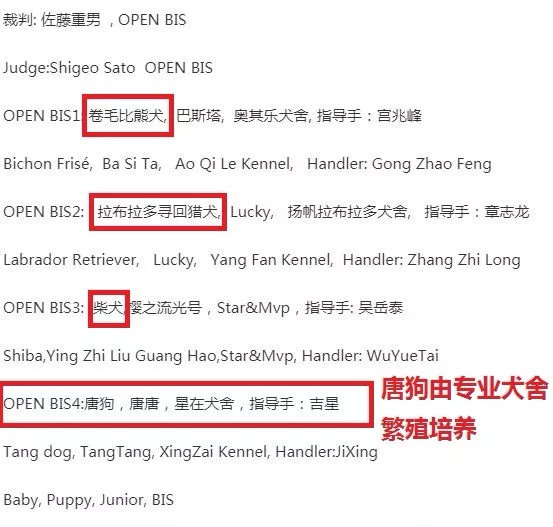 唐狗到底是什么狗?其实唐狗和中华田园犬并无关系 唐狗到底是什么狗?其实唐狗和中华田园犬并无关系