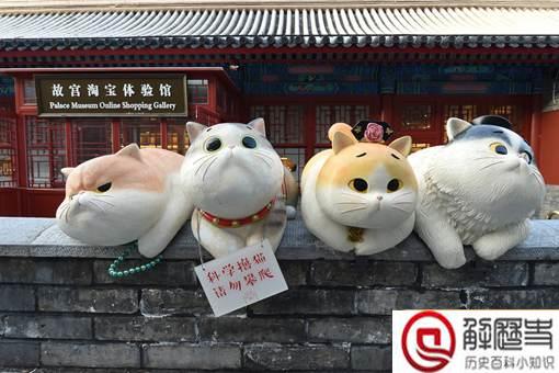 神武门现巨型御猫,故宫的御猫有何历史?