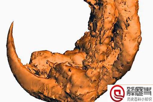 亿年前凶猛古鸟类是什么?什么品种什么样子?