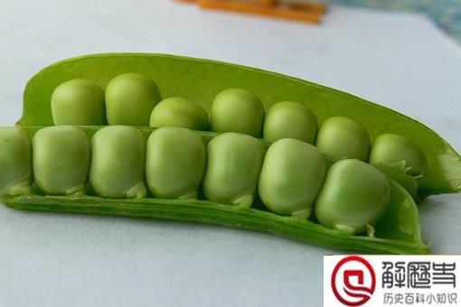 中国为什么叫豌豆为荷兰豆,荷兰叫中国豆?