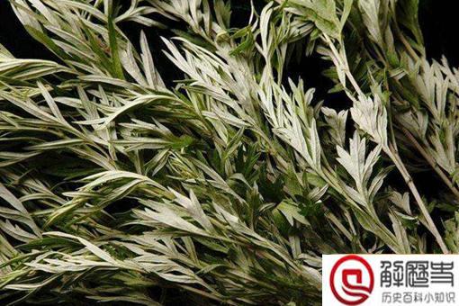 古人夏天如何防蚊子?他们有蚊帐蚊香吗?
