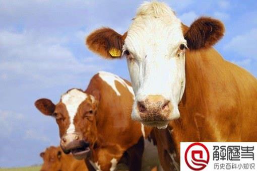 说大话为什么叫吹牛?吹牛有什么典故?