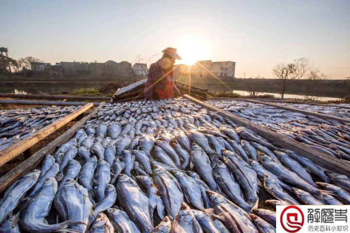 各种环江西带现象,环江西各种圈是什么?为什么会出现这样的现象?