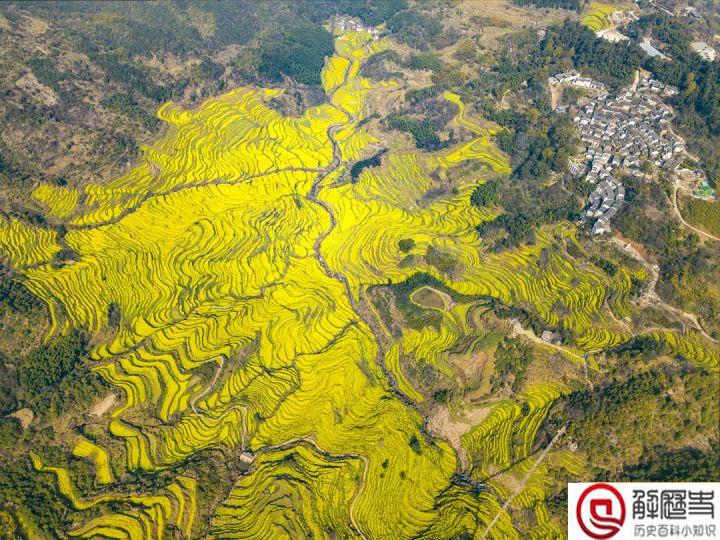 各种环江西带现象,环江西各种圈是什么?为什么会出现这样的现象?