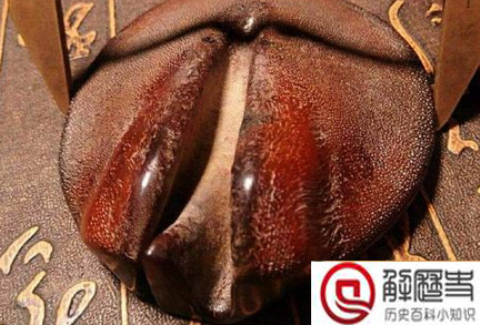 十大盗墓工具名称 盗墓必备的十大工具(含图片大全) 十大盗墓工具名称 盗墓必备的十大工具(含图片大全)