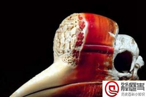 古代毒药鹤顶红有多强 鹤顶红的别名是什么