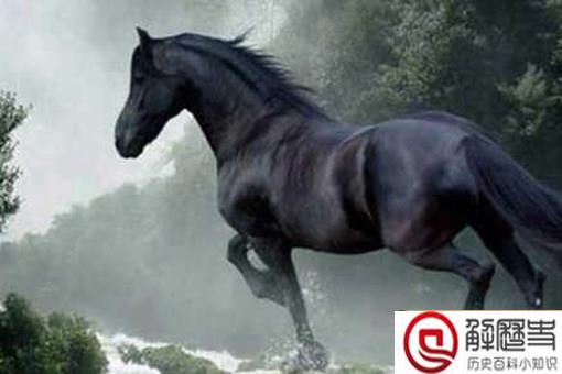 古代十大战马排名 古代战马速度有多快