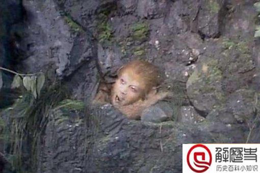 孙悟空不在五行中,为何被压在山下不能施展法术