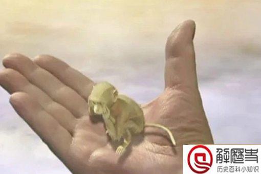 六耳猕猴为什么有金箍棒 和孙悟空的金箍棒有何区别 六耳猕猴为什么有金箍棒 和孙悟空的金箍棒有何区别