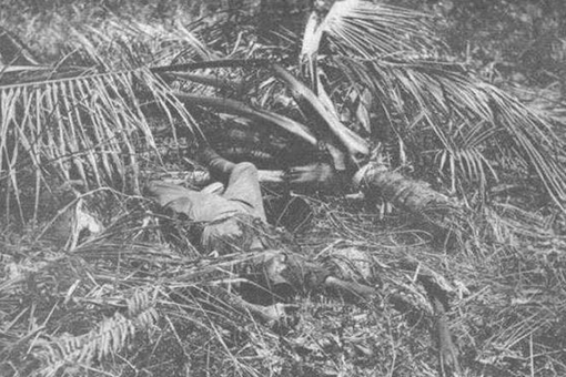 日本狙击手会把自己绑在树上直到战死? 日本狙击手会把自己绑在树上直到战死?