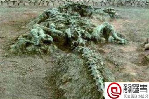 2019年长江真龙事件是怎么回事?真实情况是怎样的?