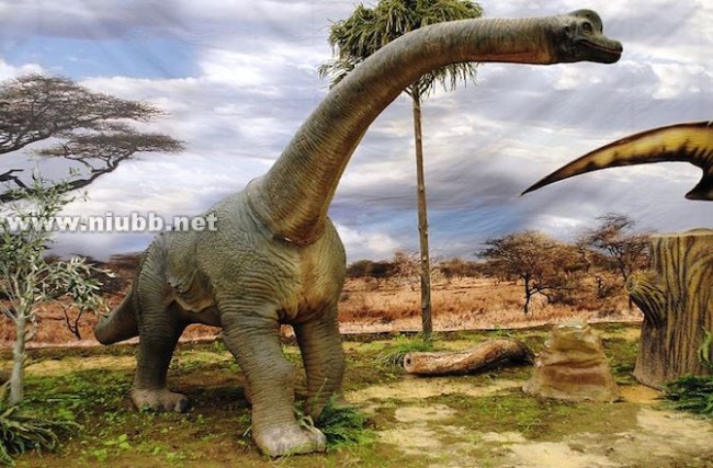 巨型恐龙遗骸出土是怎么回事?是什么地方出土的是什么品种揭秘