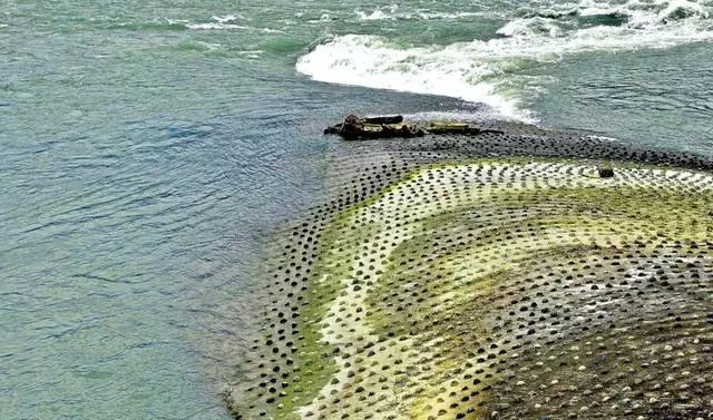 世界灌溉工程遗产是什么?中国有哪些灌溉工程入选揭秘