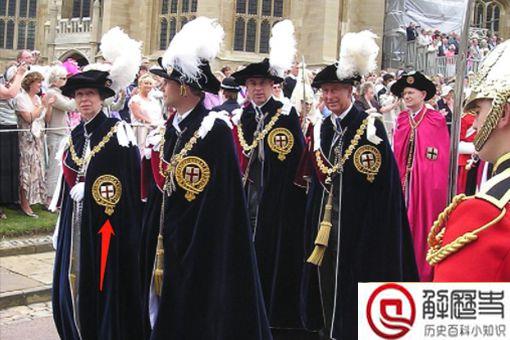 英国女王唯一的女儿是谁 揭秘英国女王的女儿安妮公主