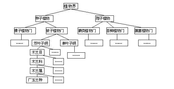 小麦真的是狗尾巴草培育出来的吗?