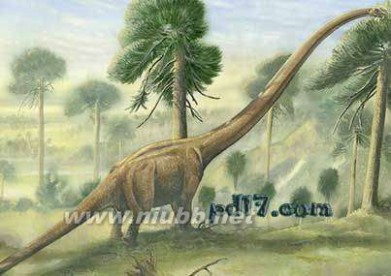 巨型恐龙遗骸出土是怎么回事?是什么地方出土的是什么品种揭秘