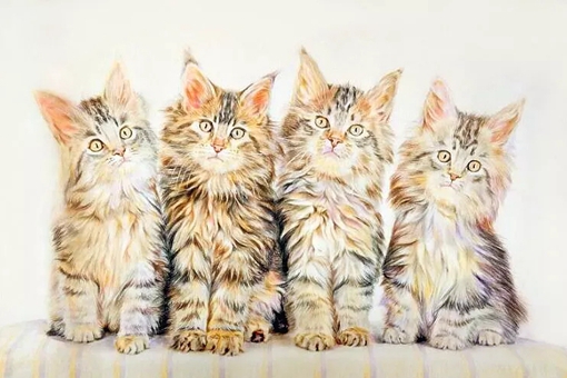 英格兰为什么叫三喵军团?半个世纪前三狮军团真的和国足一样么?