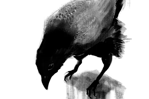 乌鸦在清朝有什么寓意?为什么清朝乌鸦是神鸟?