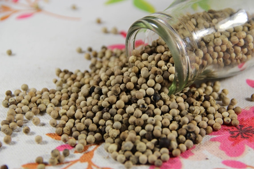 唐朝时期胡椒为什么很珍贵?胡椒是从哪传入中国的? 唐朝时期胡椒为什么很珍贵?胡椒是从哪传入中国的?