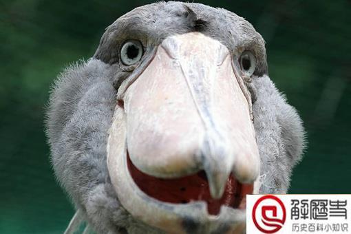 开什么国际玩笑怎么回复?开什么国际玩笑下一句