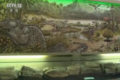 巴西国家博物馆镇馆之宝是什么?真的没有被烧毁吗?