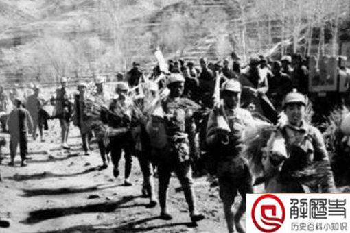 戴藏宜为什么死 戴藏宜是怎么落网的