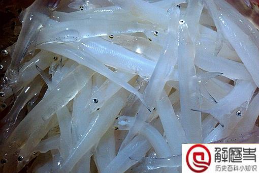 太湖三白是哪三白?太湖三白指的是白鱼白虾和什么?