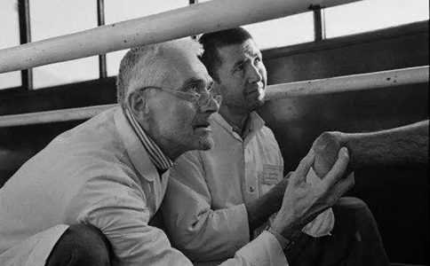 红十字日为什么定在5月8日?有怎样的历史由来