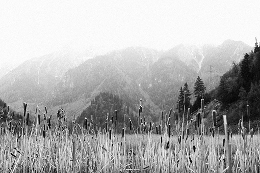 未来有可能发生第三次世界大战么?第三次世界大战参战国会是谁?