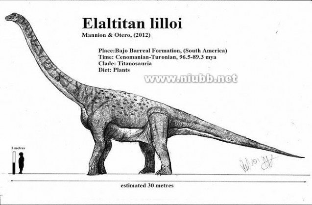 巨型恐龙遗骸出土是怎么回事?是什么地方出土的是什么品种揭秘