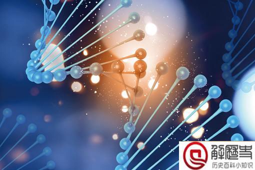 人类不能承受的真相有哪些?人类真的是真正的人类吗? 人类不能承受的真相有哪些?人类真的是真正的人类吗?