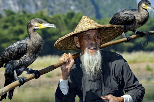 毛至之年是什么意思 毛至之年其实是陈果把耄耋读错了 毛至之年是什么意思 毛至之年其实是陈果把耄耋读错了