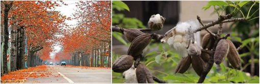 古代人冬天都穿什么衣服保暖?古人出门靠什么防寒? 古代人冬天都穿什么衣服保暖?古人出门靠什么防寒?