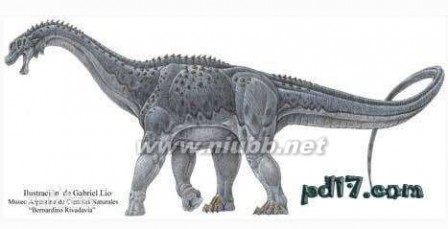 巨型恐龙遗骸出土是怎么回事?是什么地方出土的是什么品种揭秘