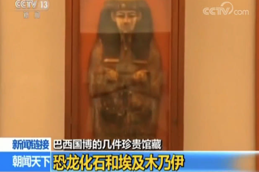 巴西国家博物馆镇馆之宝是什么?真的没有被烧毁吗?