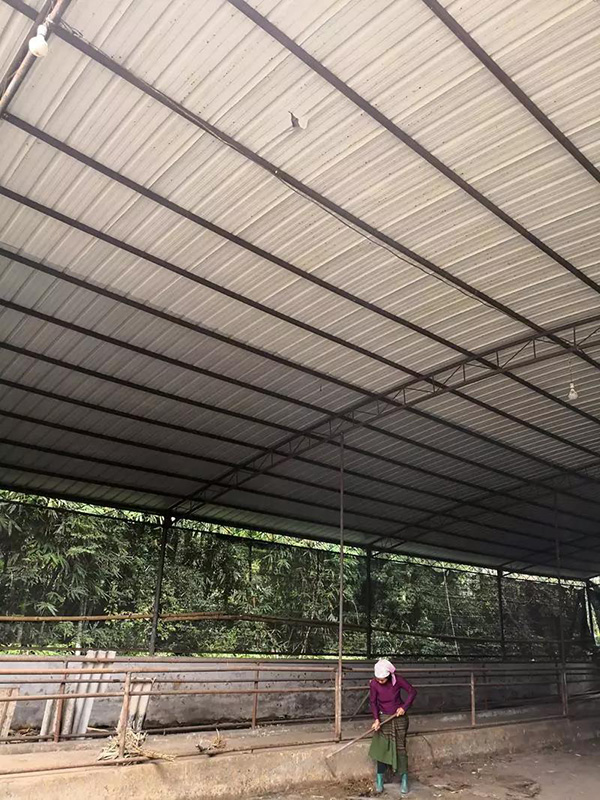 1块陨石卖30万是怎么回事?为什么会卖这么贵原因揭秘