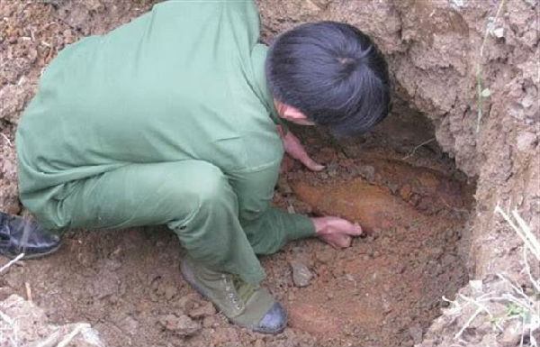 越南女兵不穿内衣真相揭秘,原因真的是让人防不胜防 越南女兵不穿内衣真相揭秘,原因真的是让人防不胜防