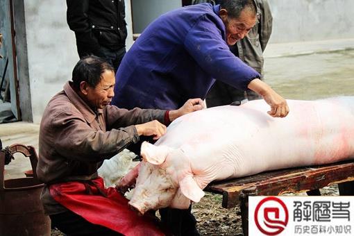 中国人过年为什么一定要杀猪呢?