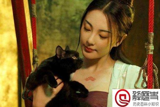 嘉靖皇帝用上千名宫女的处女血炼丹是真的吗?