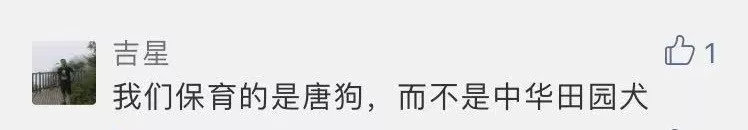 唐狗到底是什么狗?其实唐狗和中华田园犬并无关系 唐狗到底是什么狗?其实唐狗和中华田园犬并无关系