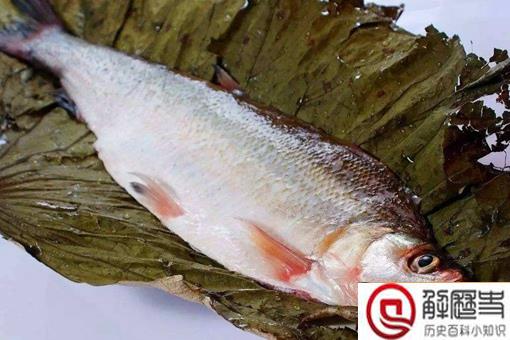 太湖三白是哪三白?太湖三白指的是白鱼白虾和什么?